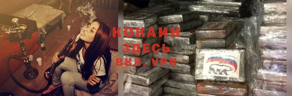 ECSTASY Елизово