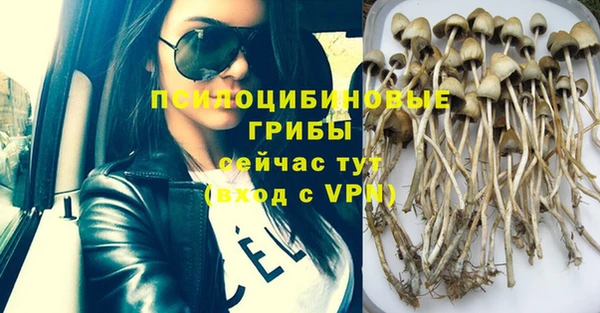 мдпв Абдулино