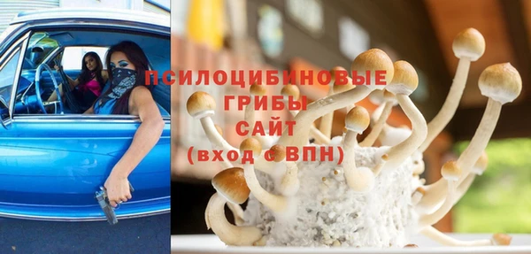 дурь Алексеевка