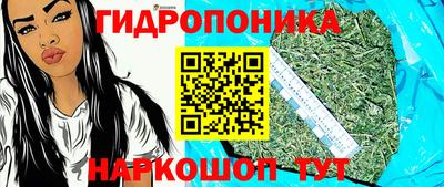 ГАЛЛЮЦИНОГЕННЫЕ ГРИБЫ Заводоуковск