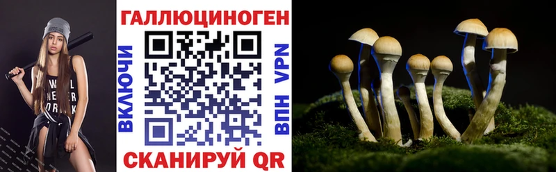 купить  сайты  это клад  Псилоцибиновые грибы мицелий  Назрань 