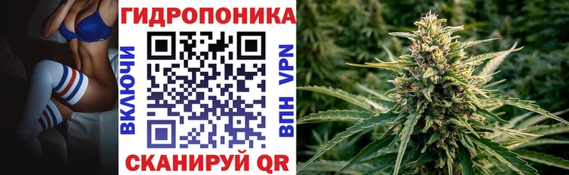 как найти наркотики  Назрань  Бошки Шишки сатива 